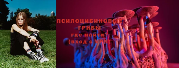 тгк Кинешма