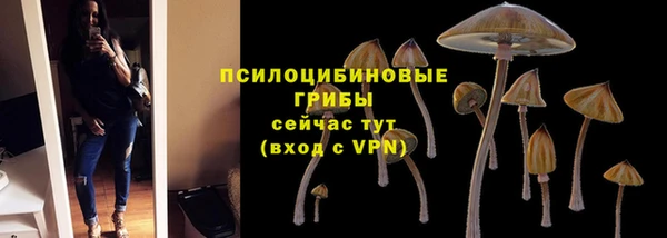 тгк Кинешма