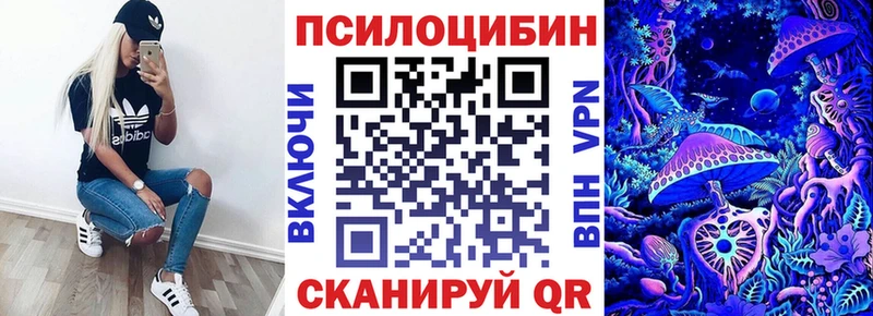 Купить  Кашира  Псилоцибиновые грибы MAGIC MUSHROOMS 